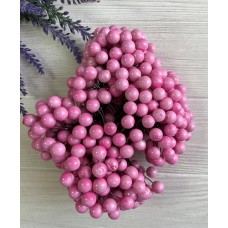 Калина лаковая крупная  ,  розовая          400 шт