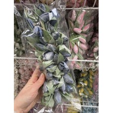 Тюльпаны большие  ,  синие  36 шт