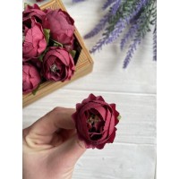 Півонія Кучерява  МАЛЕНЬКА , головка   бордо   25 шт