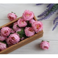 Пион  Кудрявый  МАЛЕНЬКИЙ  , головка   розовый     25 шт
