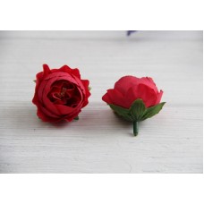 Пион  Кудрявый  МАЛЕНЬКИЙ  , головка     красный     25 шт