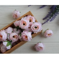 Пион  Кудрявый  МАЛЕНЬКИЙ  , головка     лиловый     25 шт