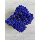 Калина сахарная ,  индиго            400 шт