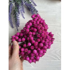 Калина сахарная ,  светло малиновая          400 шт