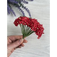 Незабудки, червоні паковання 144 шт.