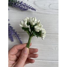 Добавка обычная  , айвори 12 букетов