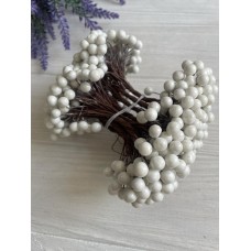 Калина ЛАКОВАЯ МЕЛКАЯ   ,    белая          500 шт