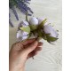 Пионы на ножке  букет ,  лавандовые    30 шт