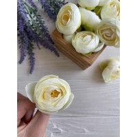 Ранункулюс бутон , айвори           100 шт