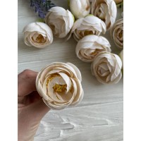 Ранункулюс бутон, крем брюлле   100 шт