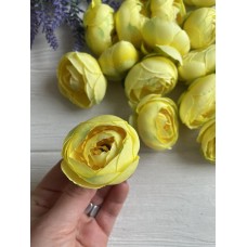 Ранункулюс бутон ,    желтый                  100 шт