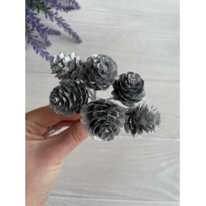 Букет " Шишки "     серебро 60 шт