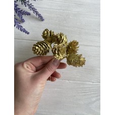 Букет " Шишки "   золото   60 шт