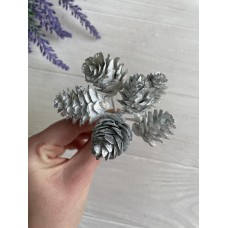 Букет " Шишки "    белое серебро  60 шт