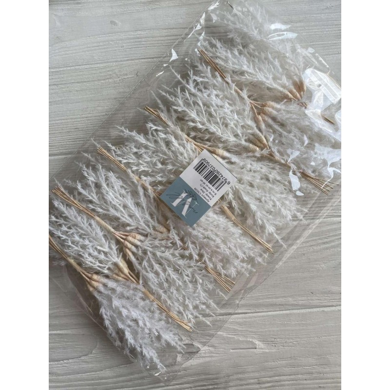 Гілочки " Морозні "  білі    10 букетів