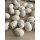 Яйца пенопластовые 2.5 *1.8 см L00721, белые с черным     50 шт