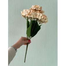 Гортензия букет на ножке   , персиковая