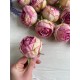 Роза головка " Королевская "  розовая       упаковка  20 шт