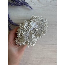 Тычинки двухсторонние ,  белые     1650 - 1700 нитей