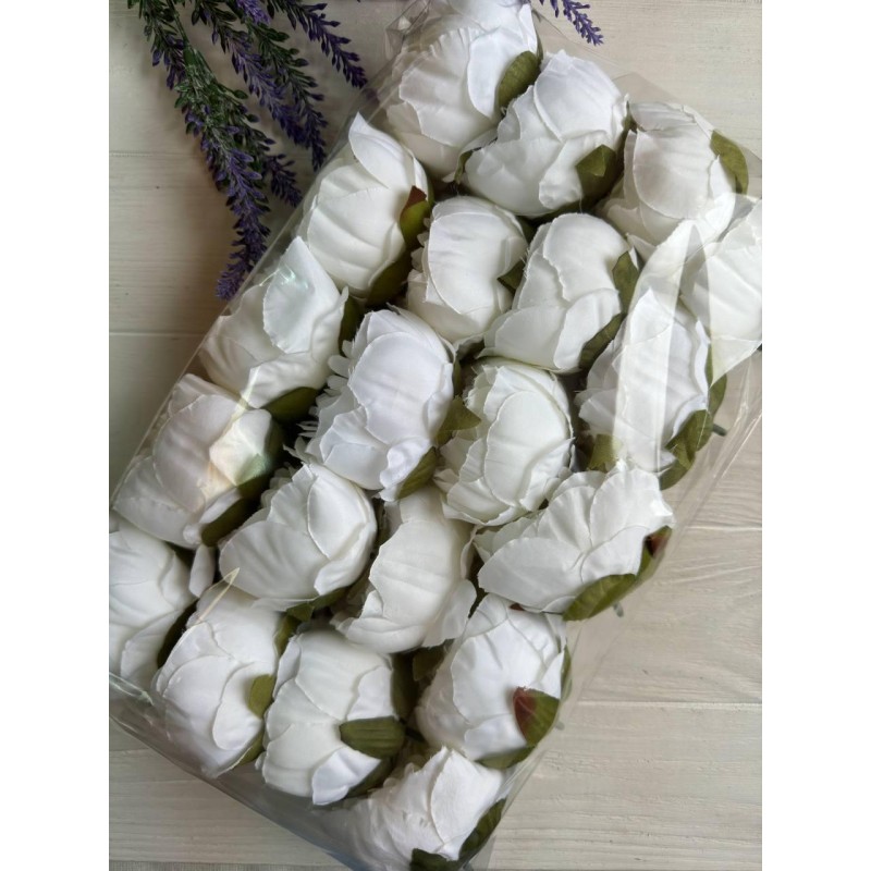 Пионы Соланж ,  молочные        20 шт