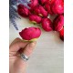 Ранункулюс бутон ,    малиново бордовый               100 шт