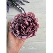 Камелия головка ,  темно фиолет       10 шт