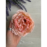 Камелия головка ,  персиково розовые       10 шт