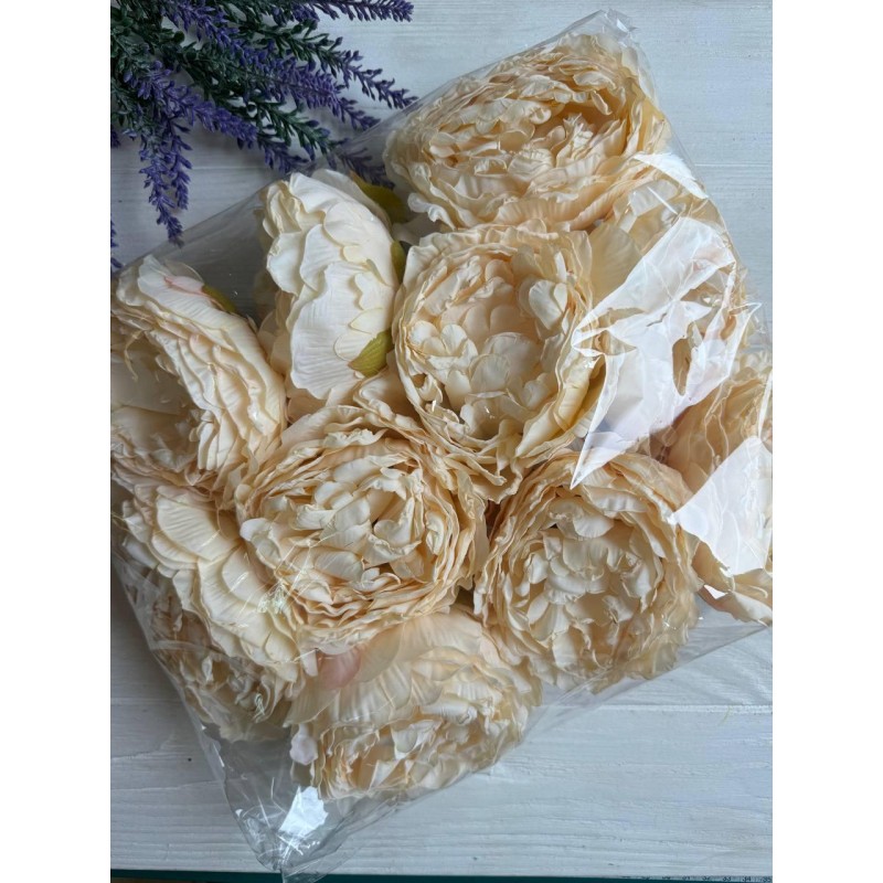 Камелия головка ,  темный беж      10 шт