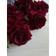 Троянди Оксамитові, бордо упаковка 10 шт