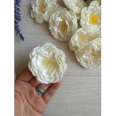 Роза Чайная  ,  кремовая       упаковка  20 шт