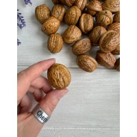 Орехи искуственные " 3.1* 2.4 см  " , натуральный цвет  30 шт