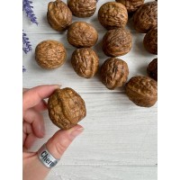 Орехи искуственные " 3.9*3.6 см " , коричневые 15 шт