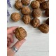 Орехи искуственные " 3.9*3.6 см " , коричневые 15 шт