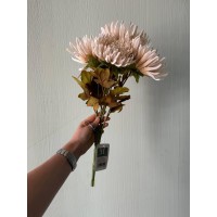 Букет  " Хризантема  С30441 " бежевая  5 шт