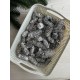 Шишки  еловые ,  белые с серебром  120 грам