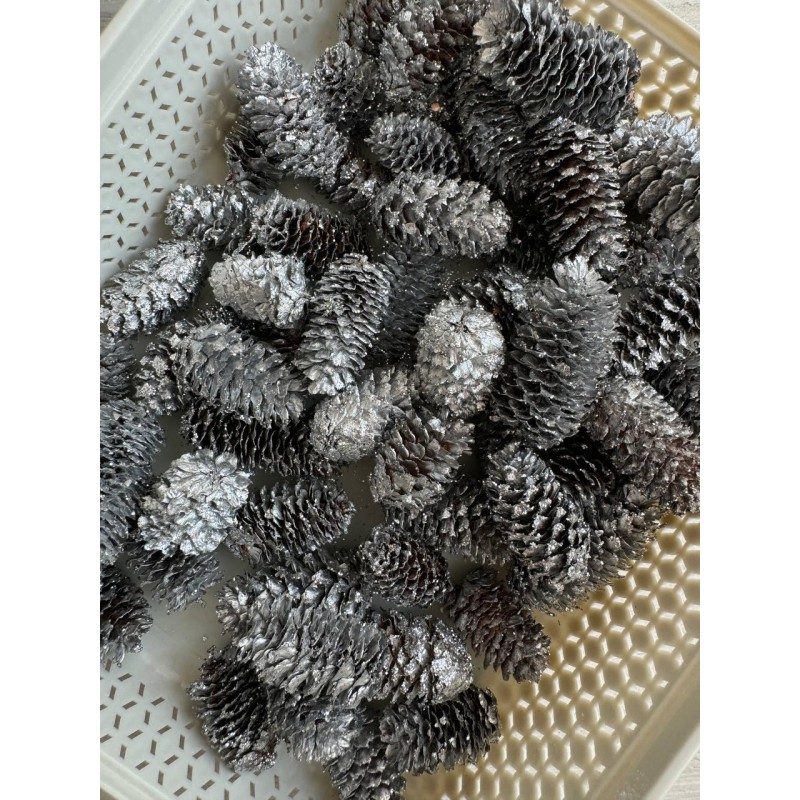 Шишки  еловые  , серебро 120 грам