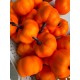 Тыквы  маленькие  , оранжевые    25  шт