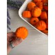 Тыквы средние  , оранжевые    20 шт