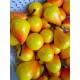Груши маленькие   , желтые с красным    50 шт