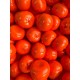 Мандарины маленькие , оранжевые    100 шт