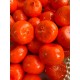 Мандарини штучні середні , оранжеві   100 шт
