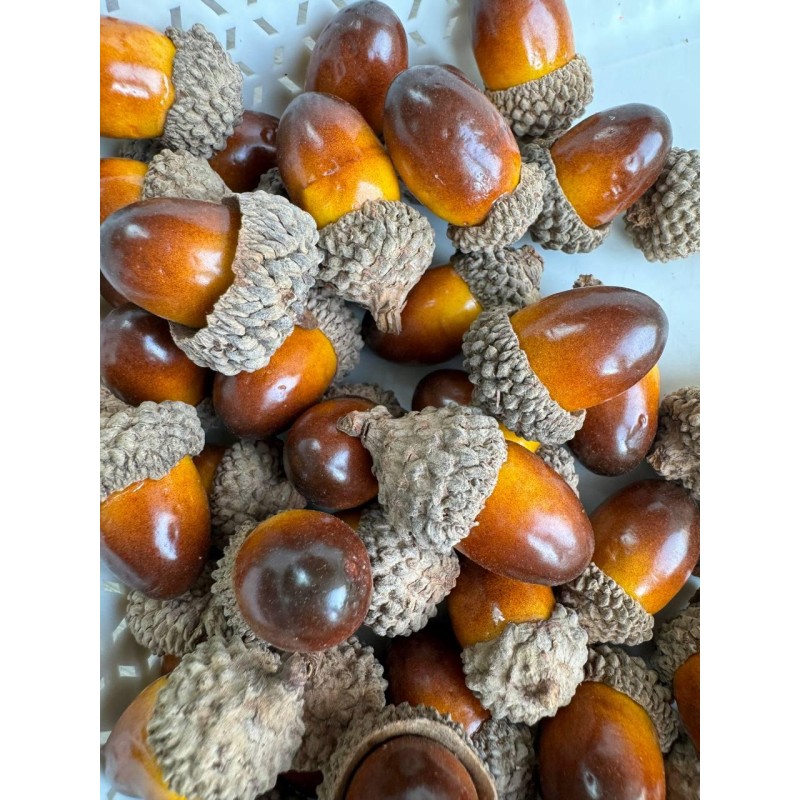 Жолуді ,  корчиневі  200 шт