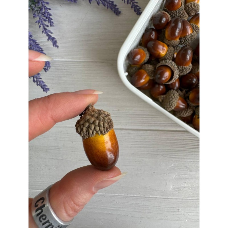 Жолуді ,  корчиневі  200 шт