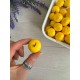 Яблоки маленькие   ,   желтые   200 шт