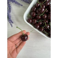 Черешни , бордовые    200 шт