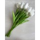Тюльпани  букет , білі  9 шт
