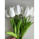 Тюльпани  букет , білі  9 шт