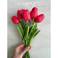 Тюльпаны букет  , красные  9 шт