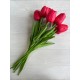 Тюльпани  букет , червоні    9 шт