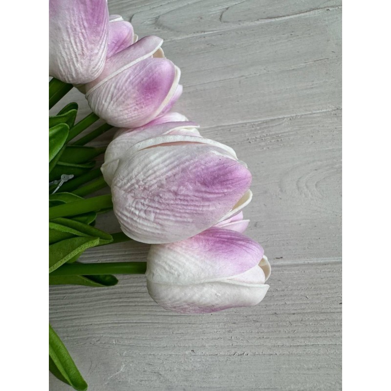 Тюльпани  букет ,  білі з бузковим   9 шт